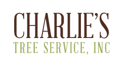 Charlie's Tree Service